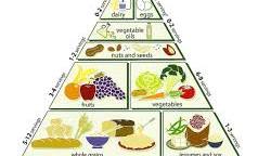 NUTRITION ANTROPOLOGY